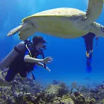 Roxon Red Sea Eilat - Adults Only